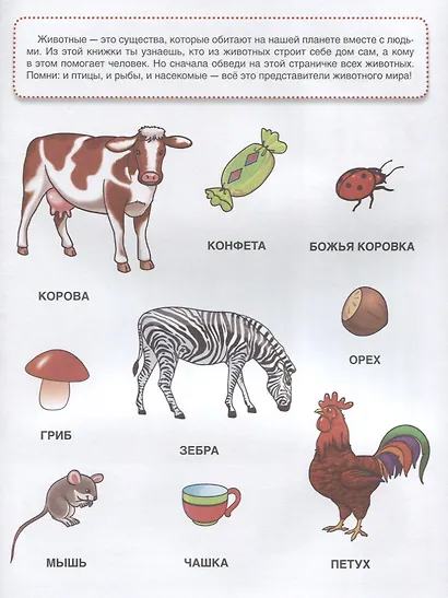 Кто, где живет? Обучающая книжка с наклейками - фото 2