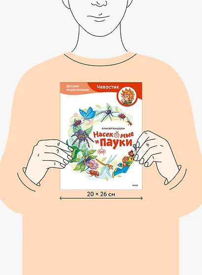 Насекомые и пауки. Детская энциклопедия (Чевостик) - фото 8