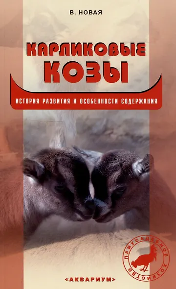 Карликовые козы. История развития и особенности содержания - фото 1