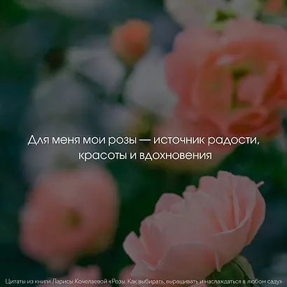 Розы. Как выбирать, выращивать и наслаждаться в любом саду - фото 7