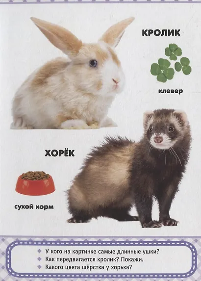 Домашние любимцы - фото 3