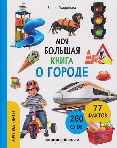 Моя большая книга о городе - фото 1