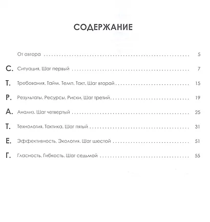 Стратег: семь шагов в желанное будущее - фото 2