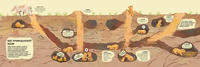 Семья в мире животных. Любовь, забота и воспитание в дикой природе - фото 7