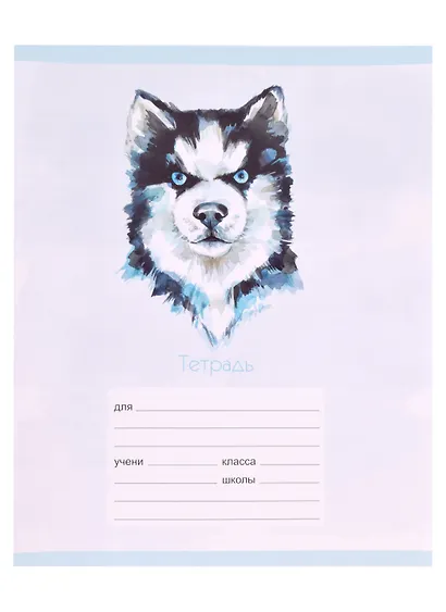 Тетрадь в клетку Listoff, "Красочные звери", А5, 12 листов, в ассортименте - фото 3