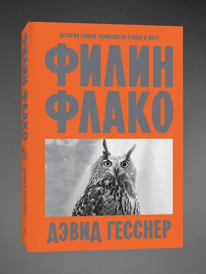 Филин Флако: История самой знаменитой птицы в мире - фото 3