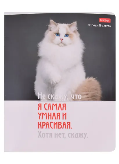 Тетрадь общая «Котоюмор» в ассортименте, 48 листов в клетку, A5 - Hatber - фото 6