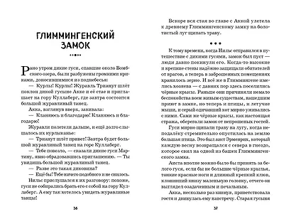 Путешествие Нильса с дикими гусями - фото 4
