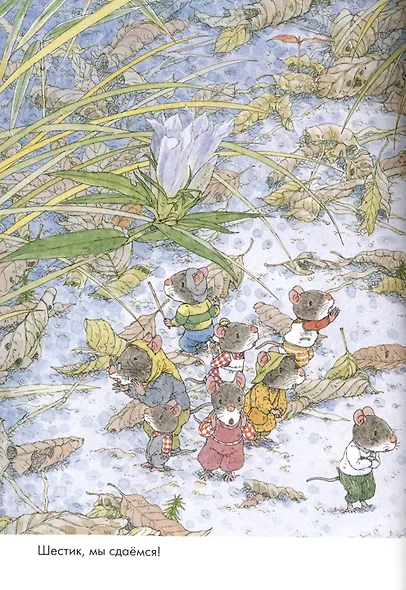 14 лесных мышей. Парад грибов - фото 4