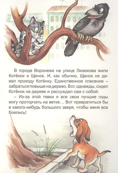 Котенок с улицы Лизюкова - фото 2