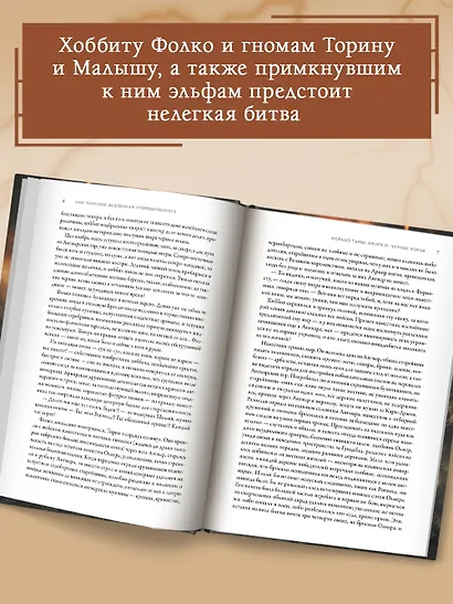 Черное копье - фото 7