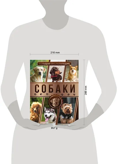 Большая энциклопедия. Собаки - фото 3