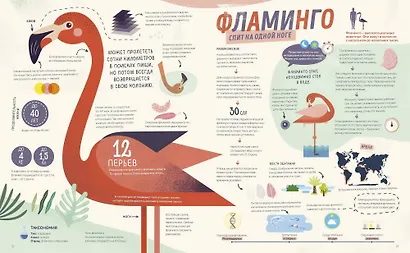 Как спит пчела? Удивительные факты о животных и их суперспособностях - фото 7