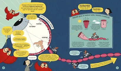 Твой мозг. Книга-экскурсия. Первое знакомство - фото 5