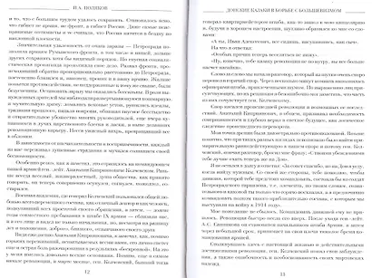 Донские казаки в борьбе с большевиками (Окаянные дни) Поляков - фото 3