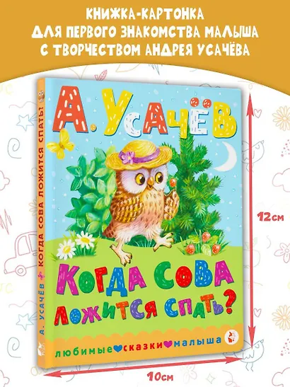 Когда сова ложится спать? - фото 4