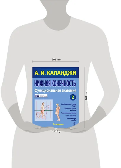 Нижняя конечность: Функциональная анатомия. Том 2. 819 цветных иллюстраций - фото 4