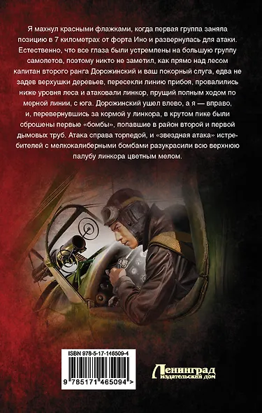 Альт-летчик - фото 2