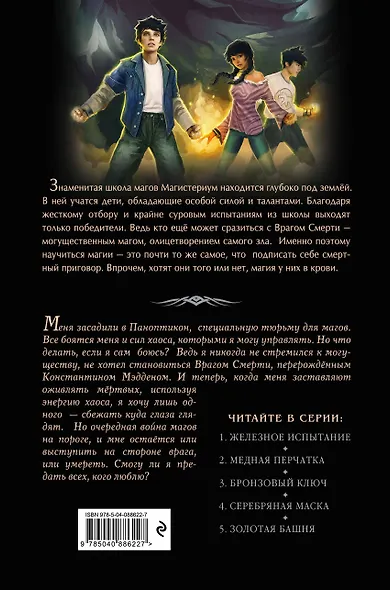 Серебряная маска - фото 2