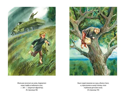 Сын полка - фото 8