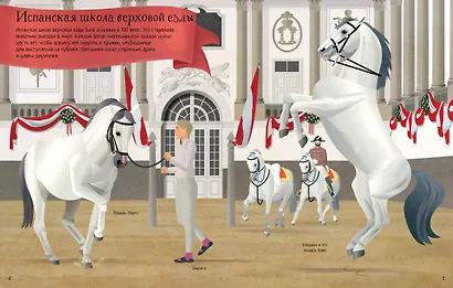 Конный спорт - фото 3