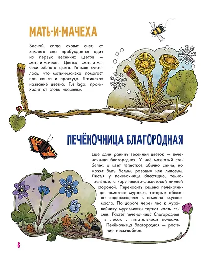Цветы и растения - фото 11