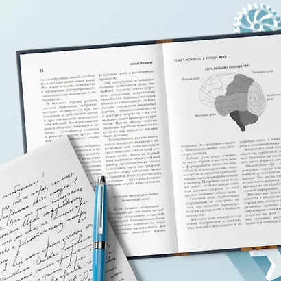Мозг долгожителя. 7 шагов к ясности ума, крепкой памяти и устойчивому вниманию - фото 8