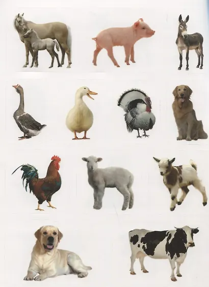 Домашние животные. Дополни картинку! Внутри 48 фото-наклеек! - фото 4