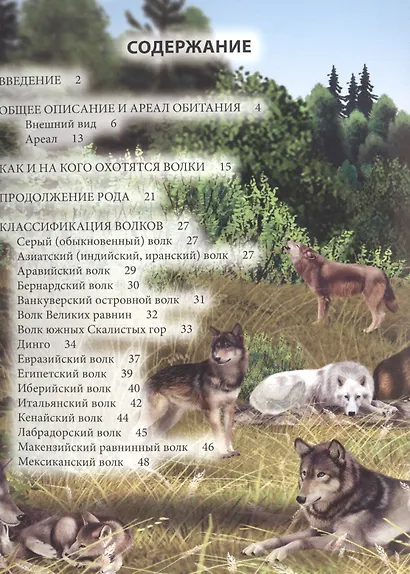 Волки - фото 6