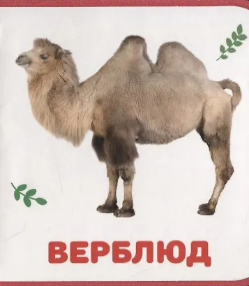 Дикие животные - фото 6