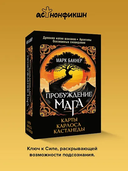 Пробуждение Мага. Карты Карлоса Кастанеды - фото 4