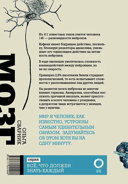 Мозг за минуту - фото 2