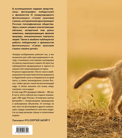 Россия самая красивая страна. Фотоконкурс 2025 - фото 2