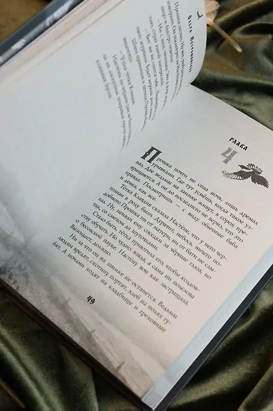 Сорочье гнездо - фото 10