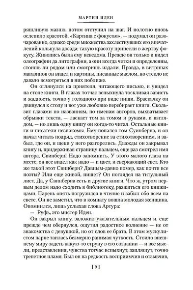Мартин Иден. Маленькая хозяйка большого дома - фото 14