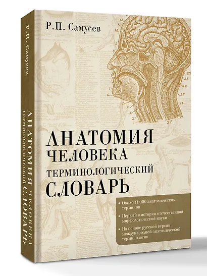 Анатомия человека.Терминологический словарь - фото 3