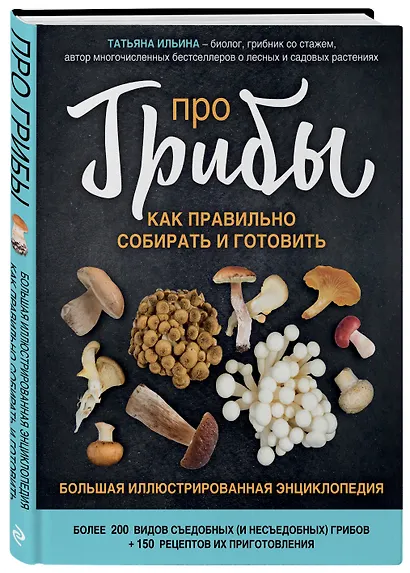 Про грибы. Как правильно собирать и готовить - фото 3