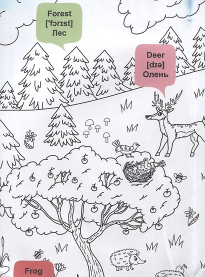 What`s up in the forest / В лесу. Гигантская раскраска-обучалка. 20 английских слов + задание. Раскрашивай. Читай. Запоминай - фото 4