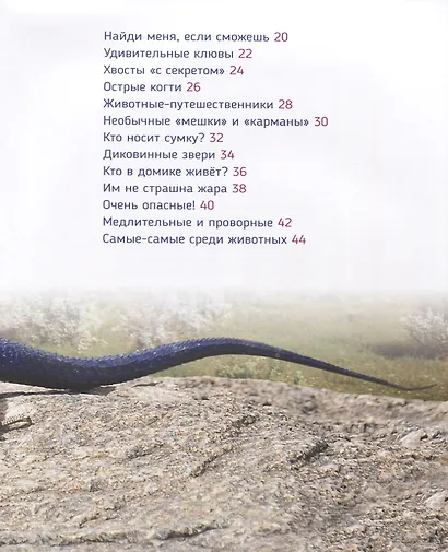 Удивительные животные (Первая энциклопедия) - фото 3