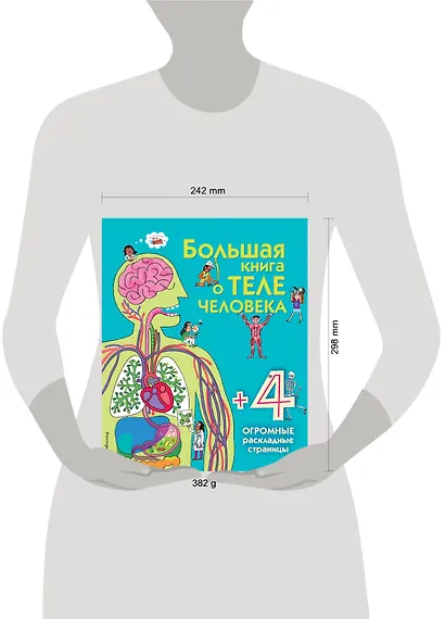 Большая книга о теле человека - фото 4