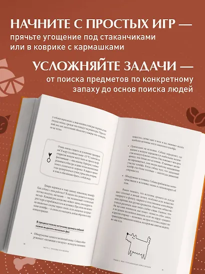 Возьми след! Секреты ноузворка: тренировки для собак - фото 6