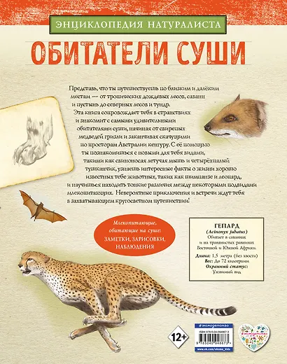 Обитатели суши - фото 2