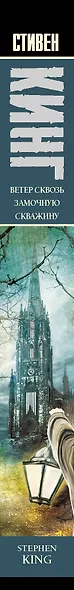 Ветер сквозь замочную скважину: из цикла "Темная Башня": роман - фото 5