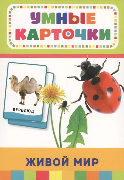 Живой мир (32 карточки в коробке) - фото 1