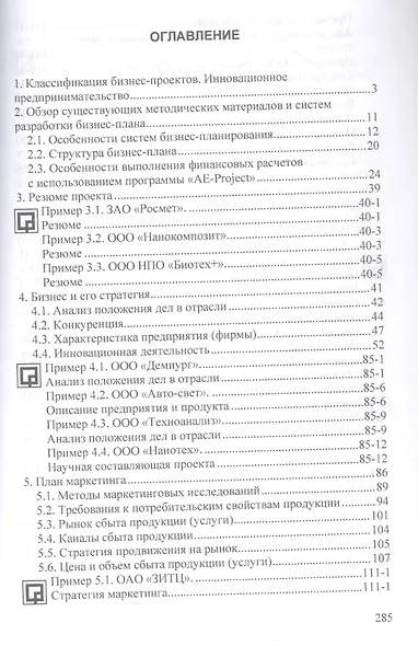 Бизнес-планирование с оценкой рисков и эффективности проектов - фото 2