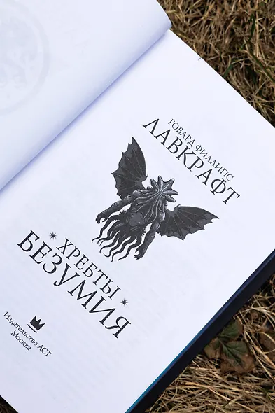 Хребты безумия - фото 8