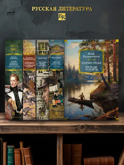 Разрыв-трава. Не поле перейти - фото 6