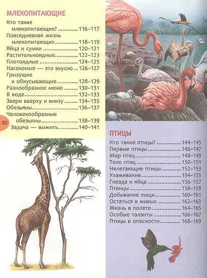 Большая энциклопедия знаний - фото 7