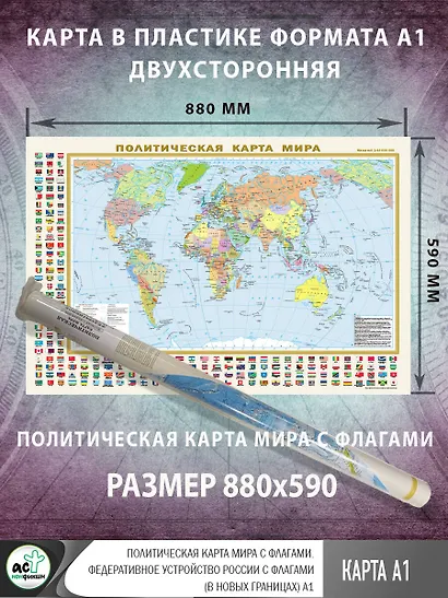 Политическая карта мира с флагами. Федеративное устройство России с флагами (в новых границах) А1 - фото 2