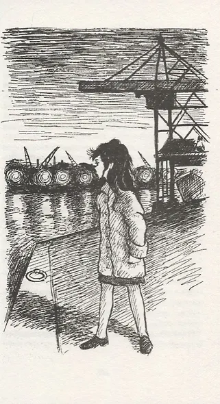 Папа Пелерин - фото 5